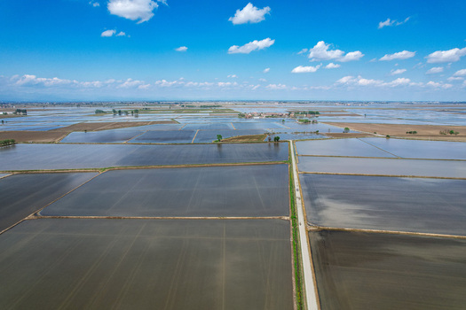 Aerial view of Abbazia di Lucedio surrounded by flooded rice fields under a blue sky with white clouds in Trino Piemonte Italy.