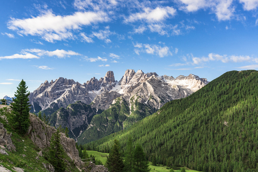 View of the jagged peaks of the Dolomites rising above lush green pine forests and alpine meadows under a blue sky with scattered clouds Dobbiaco Trentino Alto Adige Italy. View of the jagged peaks of the Dolomites rising above lush green pine forests and alpine meadows under a blue sky with scattered clouds Dobbiaco Trentino Alto Adige Italy.