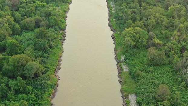 Aerial view of Delta Mahakam river in Anggana Indonesia.