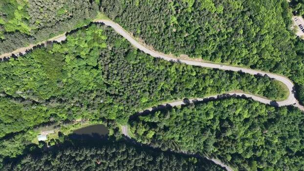 Aerial view of a winding road through dense green forest France.