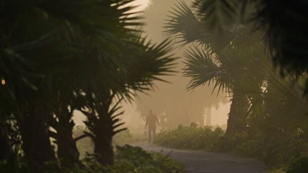 View of a person walking through palm trees in the mist Bangladesh. View of a person walking through palm trees in the mist Bangladesh.