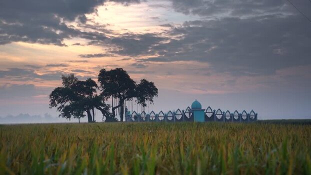 View of a mosque and tree in a paddy field Bangladesh.