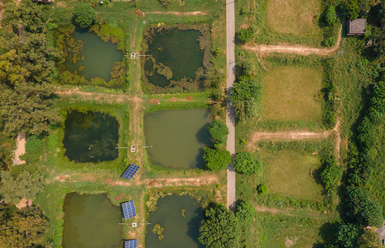 Aerial view of a fishing farm with rectangular ponds solar panels and surrounding greenery Punjab Pakistan. Aerial view of a fishing farm with rectangular ponds solar panels and surrounding greenery Punjab Pakistan.