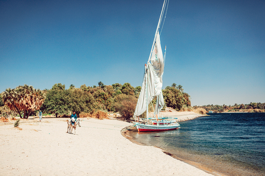View of a traditional felucca sailboat moored on the sandy banks of the Nile River with a man riding a donkey and lush greenery in Aswan Aswan Governorate Egypt. View of a traditional felucca sailboat moored on the sandy banks of the Nile River with a man riding a donkey and lush greenery in Aswan Aswan Governorate Egypt.