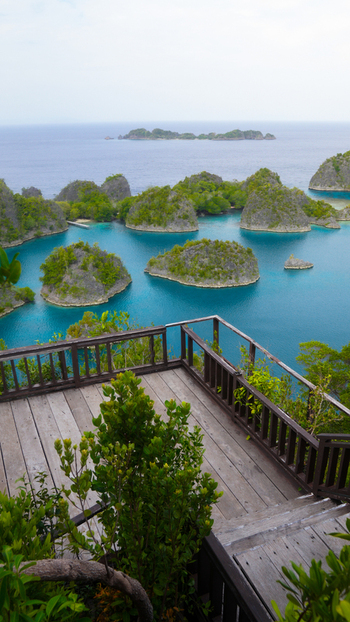 View of Piaynemo with its iconic karst islands rising from turquoise waters seen from a wooden observation deck in Raja Ampat Papua Barat Indonesia.