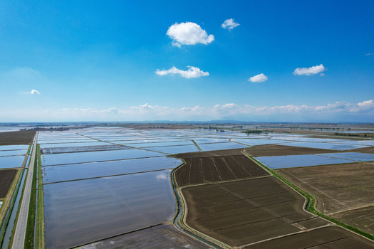 Aerial view of Azienda Agricola Veneria featuring flooded rice paddies and irrigation canals under a clear blue sky in Veneria Piemonte Italy. Aerial view of Azienda Agricola Veneria featuring flooded rice paddies and irrigation canals under a clear blue sky in Veneria Piemonte Italy.