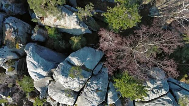 Aerial view of Adrspach Teplice Rocks in Czechia.