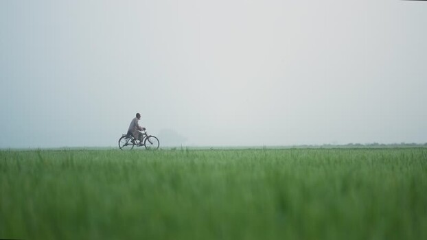 View of a man riding a bicycle in a foggy green field Bangladesh. View of a man riding a bicycle in a foggy green field Bangladesh.