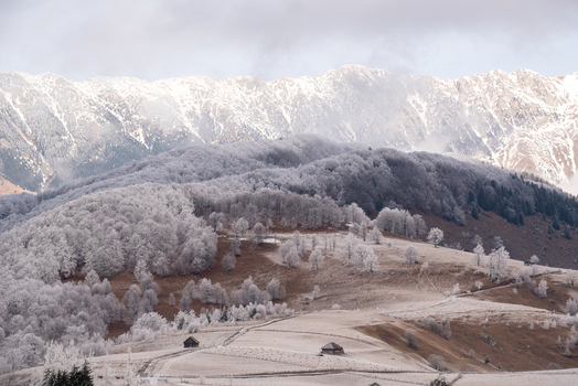 View of a winter mountain landscape with frost covered trees snow capped peaks and small wooden huts in the foreground in Alba County Romania. View of a winter mountain landscape with frost covered trees snow capped peaks and small wooden huts in the foreground in Alba County Romania.