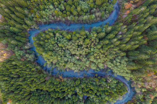 Aerial view of a winding river flowing through a dense coniferous forest with lush green trees and hints of autumn colors in Andalsnes More og Romsdal Norway.