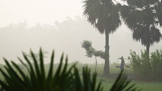View of a man walking through misty fields in Bogura Bangladesh.