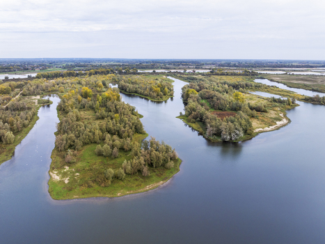 Aerial view of nature reserve Millingerwaard with winding river channels lush green islands and autumn foliage under a soft overcast sky in Millingen aan den Rijn Gelderland Netherlands.