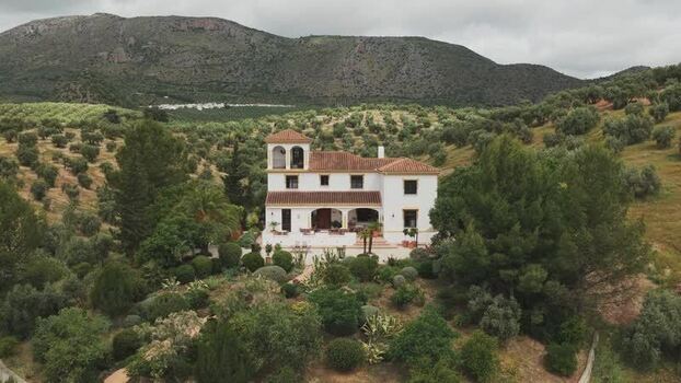 Aerial view of a white villa surrounded by olive groves Spain.