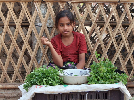 Cox s Bazar Chittagong Division Bangladesh 19 July 2026 View of a young girl selling fresh herbs in a bowl and piles in front of a bamboo fence at a refugee camp. Cox s Bazar Chittagong Division Bangladesh 19 July 2026 View of a young girl selling fresh herbs in a bowl and piles in front of a bamboo fence at a refugee camp.