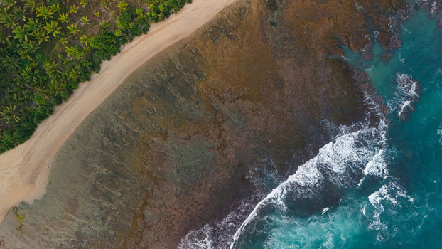 Aerial view of a tropical beach with turquoise waves crashing against a rocky shoreline and lush palm trees lining the sandy coast in Indonesia. Aerial view of a tropical beach with turquoise waves crashing against a rocky shoreline and lush palm trees lining the sandy coast in Indonesia.