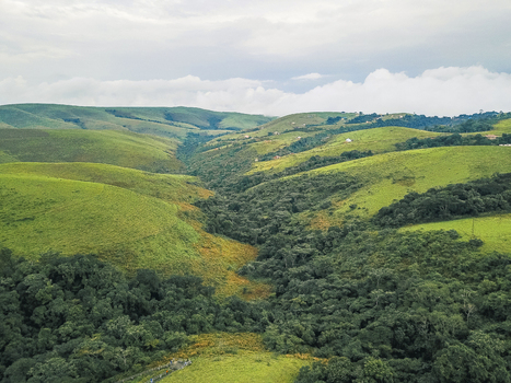 Aerial view of rolling emerald hills and a winding valley carved by lush green and golden hued trees under a cloudy sky Obudu Cross River Nigeria.