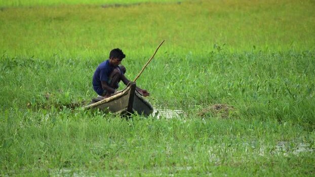 View of a fisherman in a small boat in a flooded field Bangladesh.