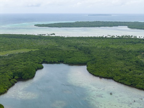 Aerial view of the lush green mangrove forest meeting the tranquil turquoise sea creating a breathtaking contrast of nature s beauty Karimunjawa Central Java Indonesia.