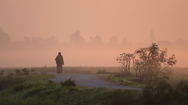 View of a person walking through a foggy field at dawn Bangladesh.