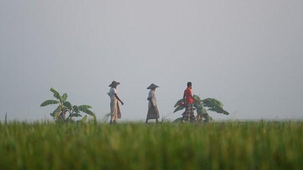 View of farmers walking through green fields in Bogura Bangladesh.