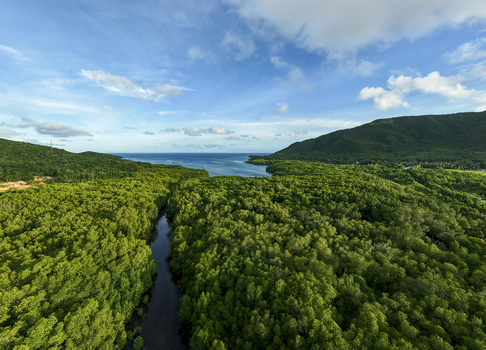 Aerial view of winding river cutting through the verdant Karimunjawa Mangrove Forest contrasting with the blue skies and distant hills Karimunjawa Central Java Indonesia.