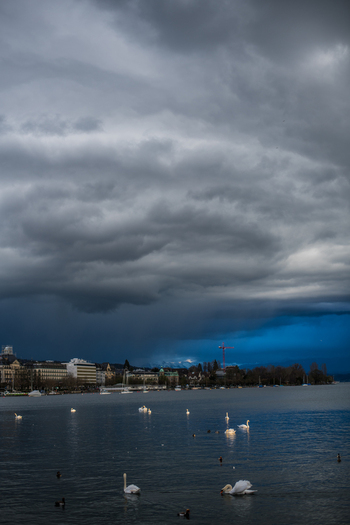 Zurich Switzerland 02 April 2023 View of the serene lake where swans glide gracefully under a dramatic brooding sky the city s buildings a muted contrast to the water s shimmering surface. Zurich Switzerland 02 April 2023 View of the serene lake where swans glide gracefully under a dramatic brooding sky the city s buildings a muted contrast to the water s shimmering surface.
