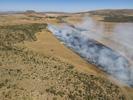 Aerial view of a controlled bushfire with thick white smoke rising from charred grassland across the vast savanna landscape in Waterberg District Municipality Limpopo South Africa.