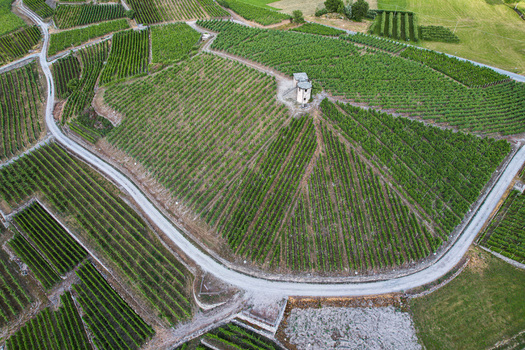 Aerial view of lush green vineyards with geometric rows of grapevines and a small stone tower in Aymavilles Aosta Valley Italy. Aerial view of lush green vineyards with geometric rows of grapevines and a small stone tower in Aymavilles Aosta Valley Italy.