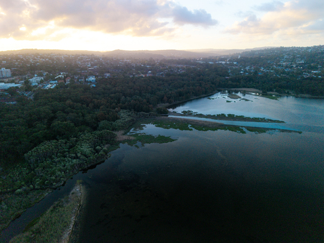 Aerial view of Dee Why Lagoon surrounded by lush vegetation and urban development under a golden sunset sky in Dee Why New South Wales Australia. Aerial view of Dee Why Lagoon surrounded by lush vegetation and urban development under a golden sunset sky in Dee Why New South Wales Australia.