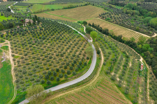 Aerial view of a winding road passing through lush vineyards and olive groves on rolling hills with a stone farmhouse Ficulle Umbria Italy. Aerial view of a winding road passing through lush vineyards and olive groves on rolling hills with a stone farmhouse Ficulle Umbria Italy.