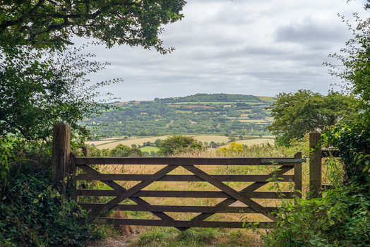 View of a wooden gate opening onto a rolling rural landscape with green fields hedgerows and trees under a cloudy sky in Bodmin Cornwall United Kingdom. View of a wooden gate opening onto a rolling rural landscape with green fields hedgerows and trees under a cloudy sky in Bodmin Cornwall United Kingdom.
