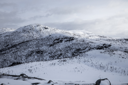 View of snowy mountain slopes with sparse trees under a cloudy winter sky in Ersfjord Troms Norway. View of snowy mountain slopes with sparse trees under a cloudy winter sky in Ersfjord Troms Norway.