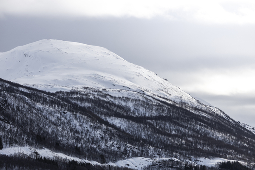View of a snow covered mountain peak and dark forested slopes under a cloudy sky in the arctic wilderness of Tromso Troms Norway.