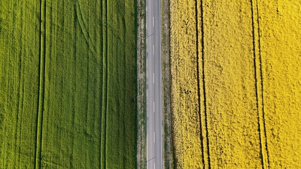 Aerial view of a straight asphalt road dividing a vibrant green field and a bright yellow rapeseed field under soft daylight Butlar Thuringen Germany. Aerial view of a straight asphalt road dividing a vibrant green field and a bright yellow rapeseed field under soft daylight Butlar Thuringen Germany.