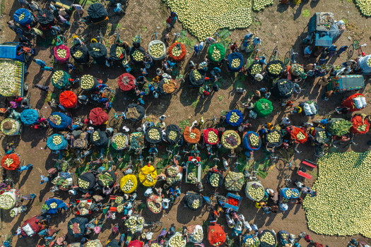 Aerial view of a bustling outdoor market with people gathering around colorful baskets and large piles of produce in Bogura Rajshahi Division Bangladesh. Aerial view of a bustling outdoor market with people gathering around colorful baskets and large piles of produce in Bogura Rajshahi Division Bangladesh.