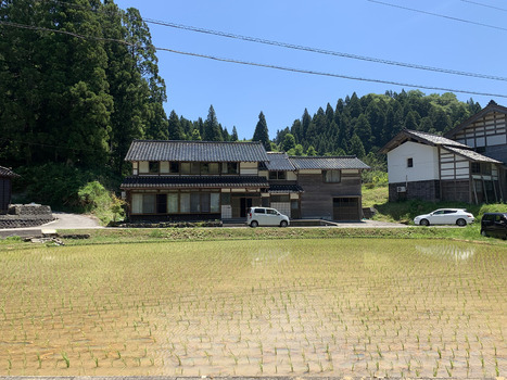 Japan 06 July 2026 View of a traditional Japanese house with dark tiled roofs situated next to a lush green forest and a flooded rice paddy field under a clear blue sky. Japan 06 July 2026 View of a traditional Japanese house with dark tiled roofs situated next to a lush green forest and a flooded rice paddy field under a clear blue sky.