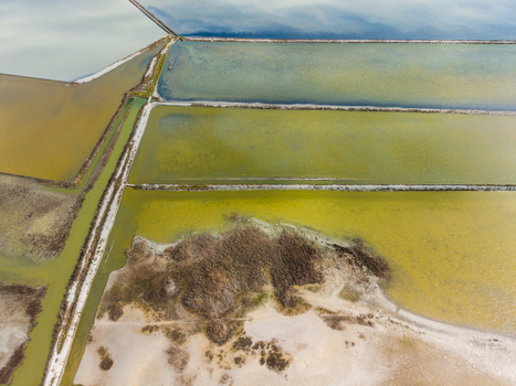 Aerial view of the colorful salt evaporation ponds of Lake Atanasovsko featuring geometric dikes and marshy landscape in Burgas Burgas Bulgaria. Aerial view of the colorful salt evaporation ponds of Lake Atanasovsko featuring geometric dikes and marshy landscape in Burgas Burgas Bulgaria.