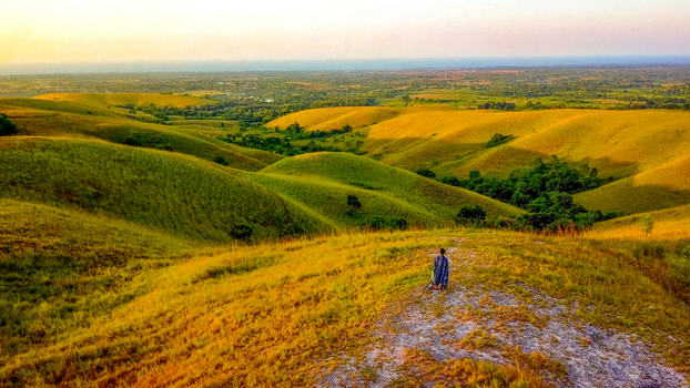 Aerial view of Wairinding hills with golden grass rolling landscape and a person standing on the ridge during golden hour in Waingapu City East Nusa Tenggara Indonesia.