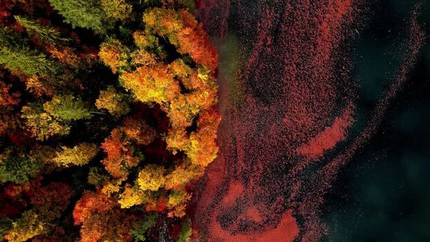 Aerial view of Attersee autumn foliage in Vocklabruck District Austria.