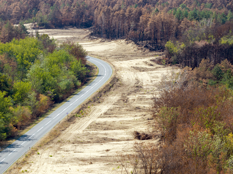 Aerial view of the aftermath of a wildfire in Deliblato Sands showing a winding road cutting through scorched trees and barren sandy terrain in Dubovac Vojvodina Serbia.