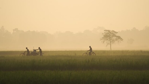 View of people with bicycles in misty fields Bangladesh.
