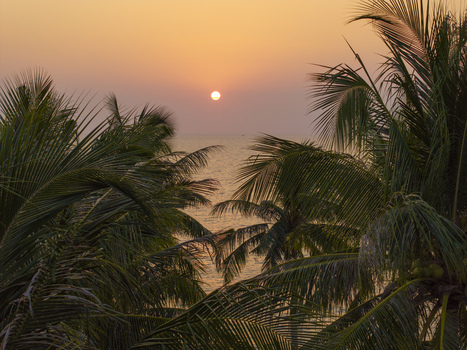 Aerial view of a golden sunset over the calm ocean framed by lush green palm tree leaves and tropical foliage in Phu Quoc An Giang Vietnam. Aerial view of a golden sunset over the calm ocean framed by lush green palm tree leaves and tropical foliage in Phu Quoc An Giang Vietnam.