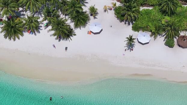 Aerial view of a tropical beach with palm trees and white sand Maldives. Aerial view of a tropical beach with palm trees and white sand Maldives.