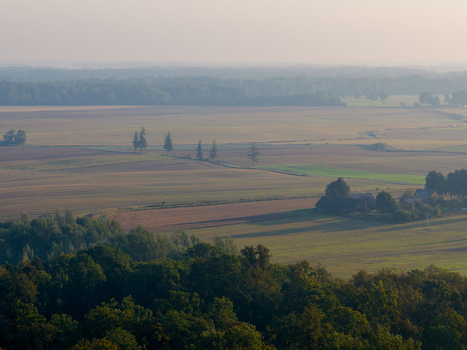 Aerial view of vast agricultural fields and a small farmstead bordered by a dense green forest under a soft morning haze in Taujenai Vilnius County Lithuania.