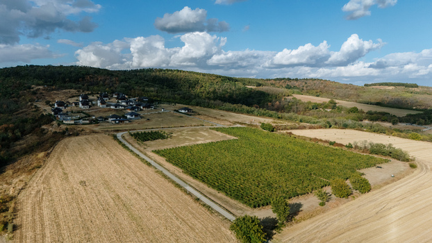 Aerial view of Deuric winery surrounded by vineyards rolling hills and residential houses in Mala Remeta Vojvodina Serbia. Aerial view of Deuric winery surrounded by vineyards rolling hills and residential houses in Mala Remeta Vojvodina Serbia.