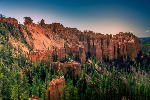 View of the iconic hoodoos and rugged rock formations of Bryce Canyon National Park surrounded by dense pine forests under a clear blue sky in Utah United States.