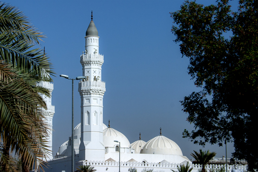 View of Masjid Quba with its white domes and minarets under a clear blue sky framed by palm trees in Madinah Al Madinah Province Saudi Arabia.