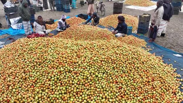 Aerial view of people sorting fruit at a market in Bogura Bangladesh.