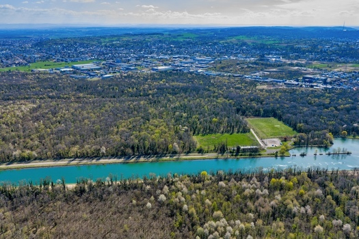 Aerial view of the river cutting through the landscape with lush trees contrasting with the river Sausheim Grand Est France.