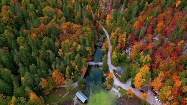 Aerial view of Attersee in autumn forest Austria.